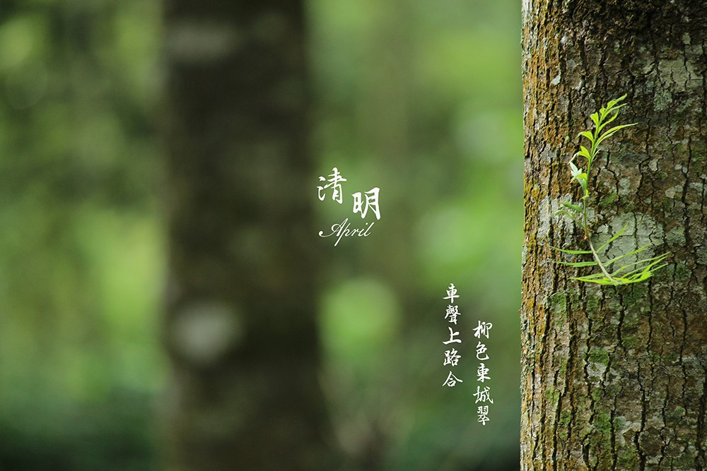 華燁篷房清明節放假安排 華燁篷房清明節放假安排