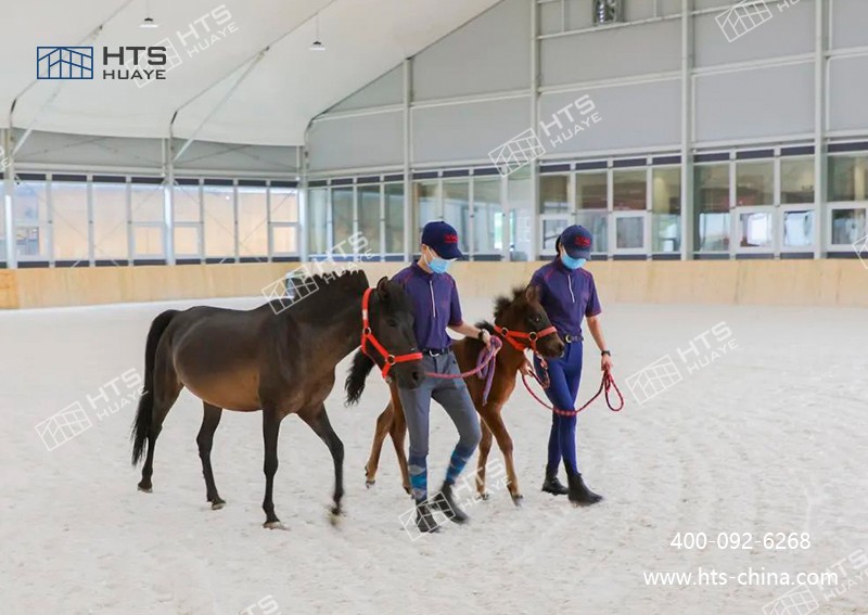馬術館篷房為中小學開展馬術特色教育提供了有力支撐 馬術館篷房為中小學開展馬術特色教育提供了有力支撐
